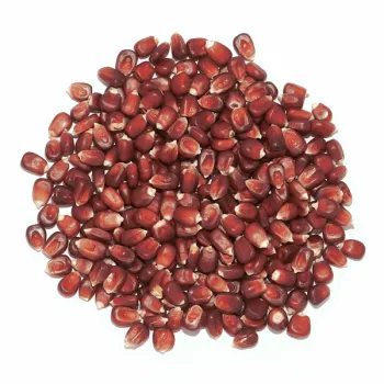 Kukurydza czerwona, bordo, drobna - 1 kg